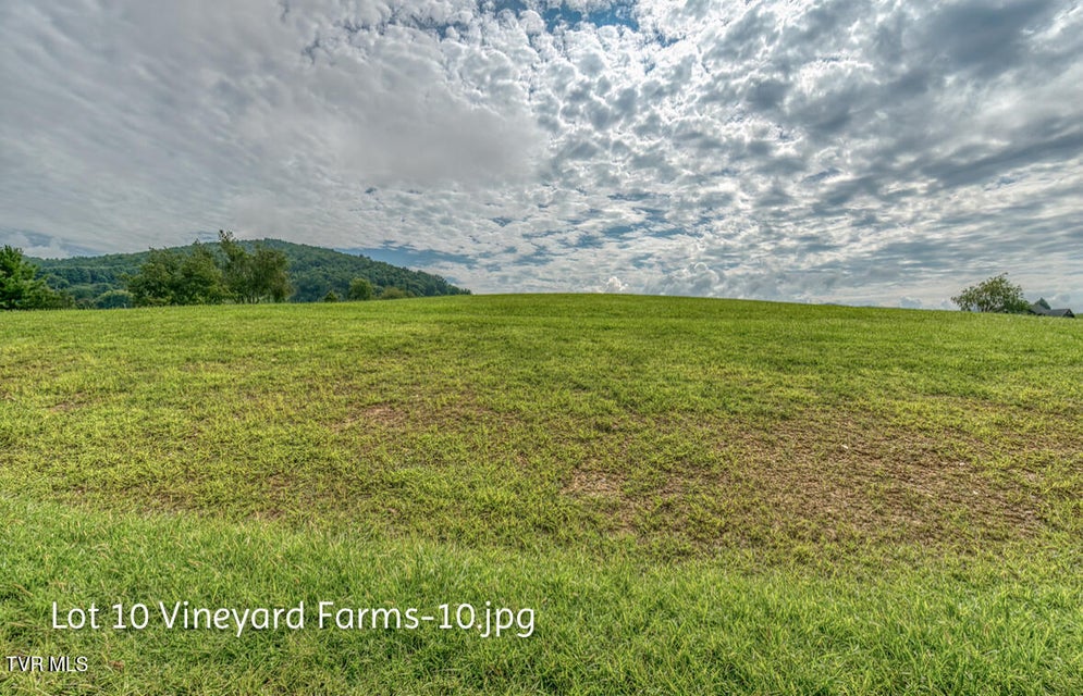 Photo #11: Lot 10 Dry Hill Road