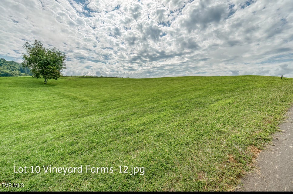 Photo #8: Lot 10 Dry Hill Road