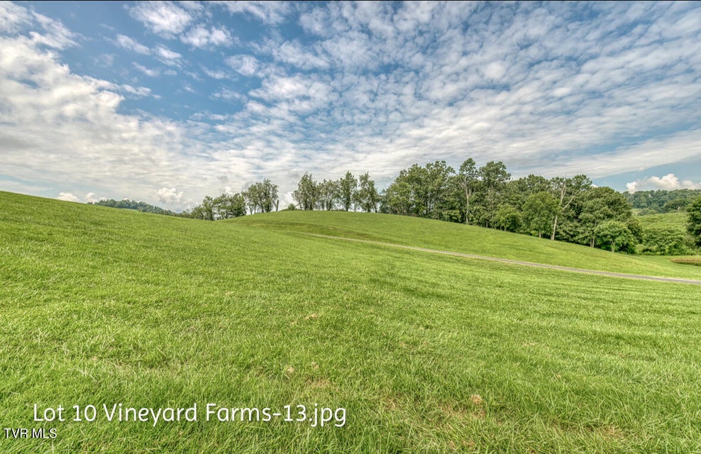 Photo #13: Lot 10 Dry Hill Road