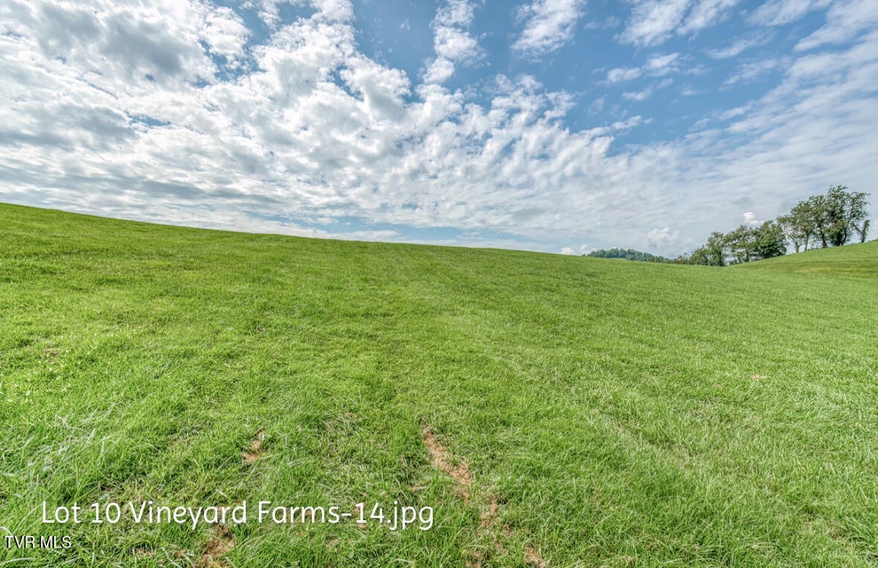 Photo #14: Lot 10 Dry Hill Road