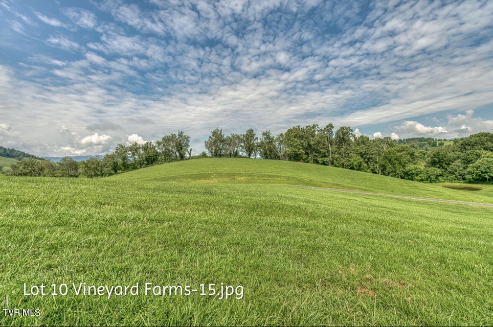 Photo #15: Lot 10 Dry Hill Road