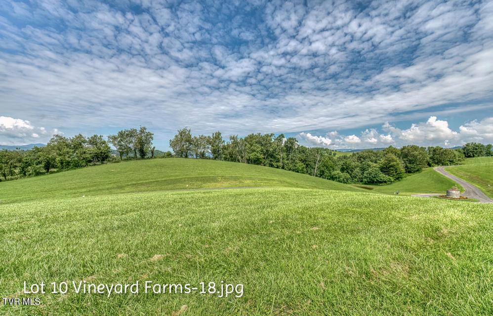 Photo #18: Lot 10 Dry Hill Road