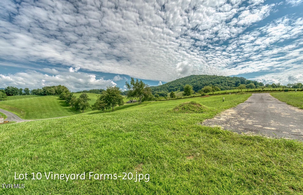 Photo #20: Lot 10 Dry Hill Road