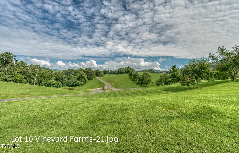 Photo #21: Lot 10 Dry Hill Road