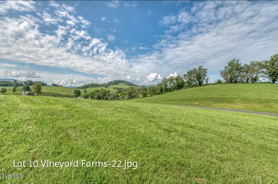 Photo #22: Lot 10 Dry Hill Road