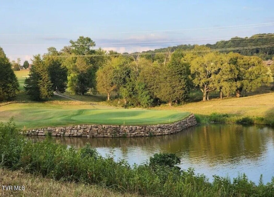 Photo #16: 1289 Black Cove Lane