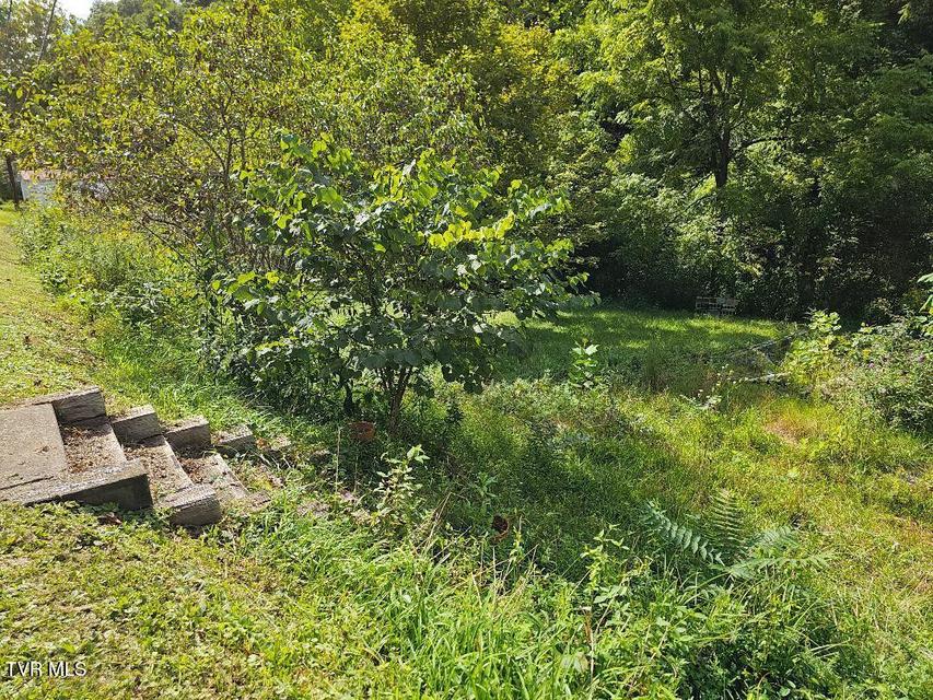 Photo #3: 8835 Maple Road