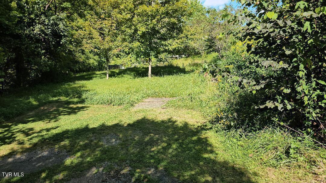 Photo #10: 8835 Maple Road