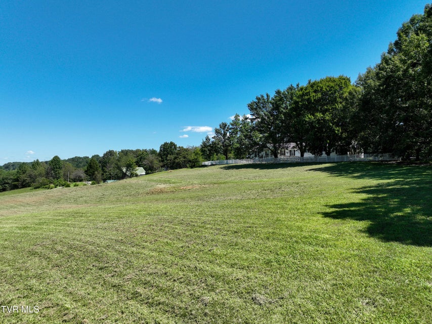Photo #47: 195 Cecil White Road