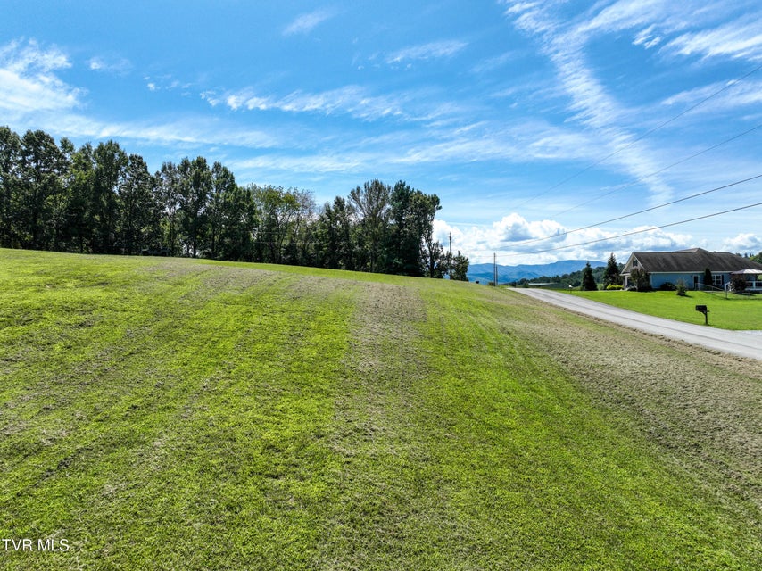 Photo #49: 195 Cecil White Road