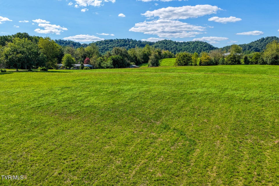 Photo #16: Tbd Highway 11w 