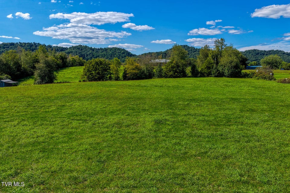 Photo #18: Tbd Highway 11w 