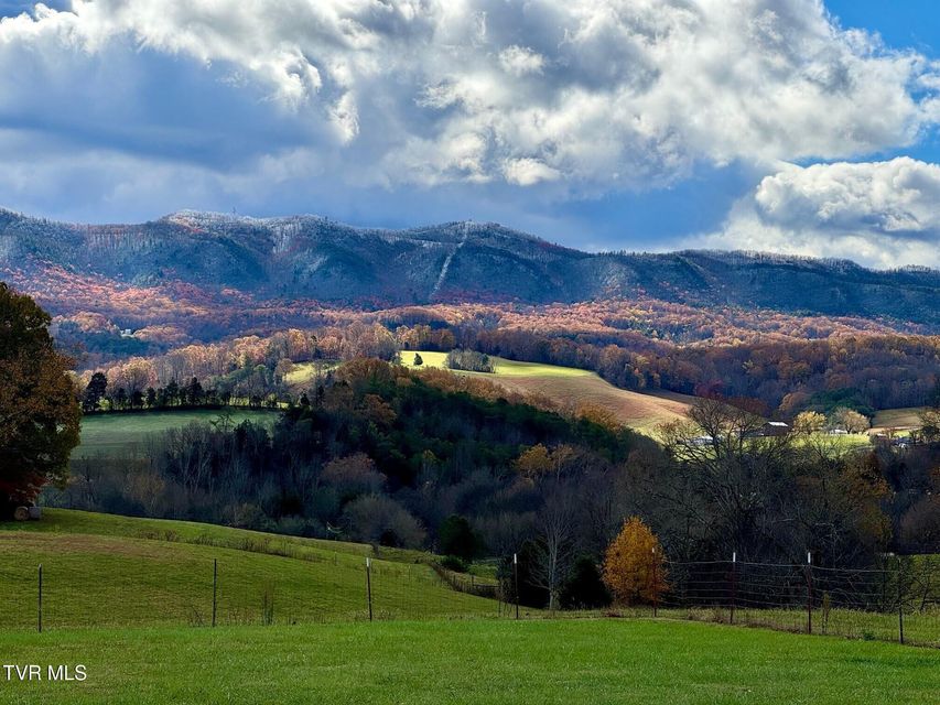 Photo #81: 7545 Cedar Creek Road