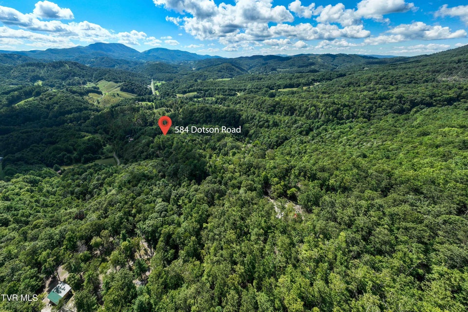 Photo #27: 584 Dotson Road