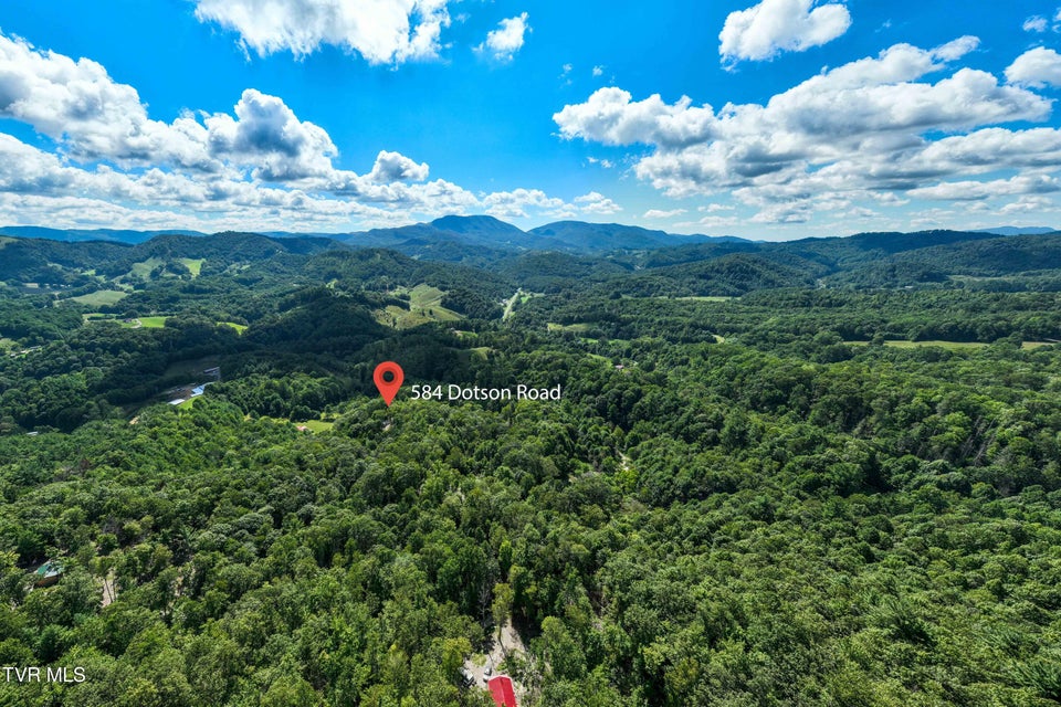 Photo #28: 584 Dotson Road