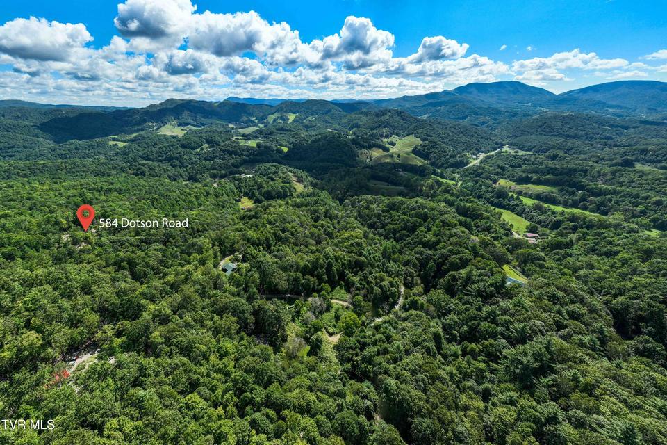 Photo #29: 584 Dotson Road