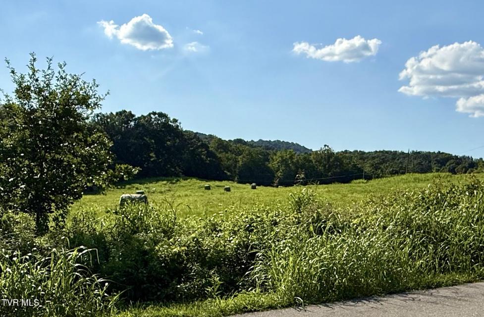 Photo #2: Tbd Horseshoe Bend Road