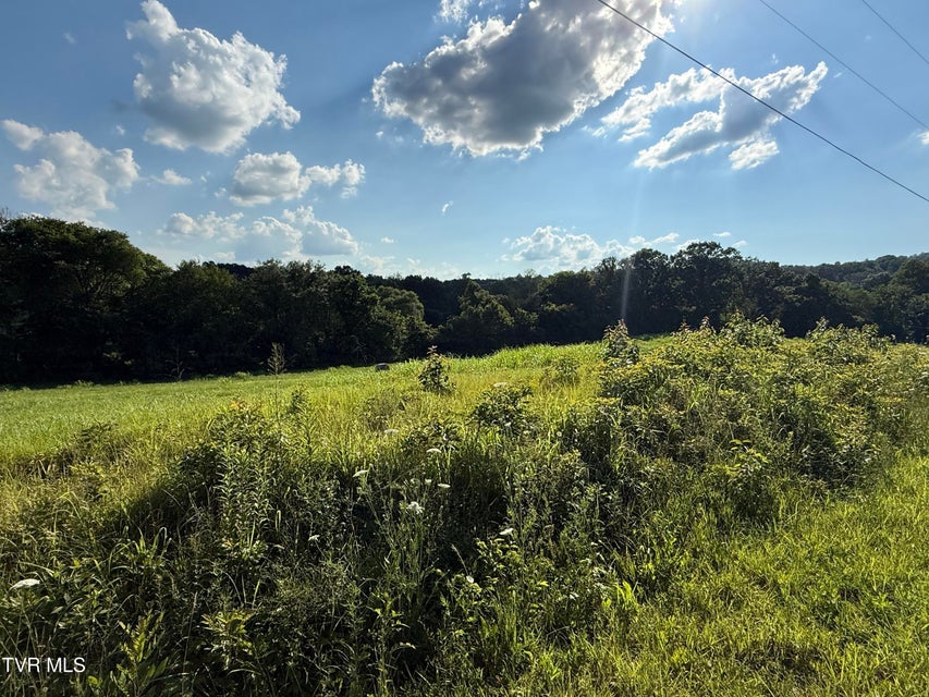 Photo #3: Tbd Horseshoe Bend Road