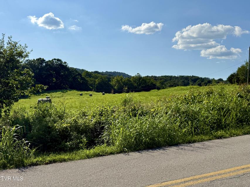 Photo #4: Tbd Horseshoe Bend Road