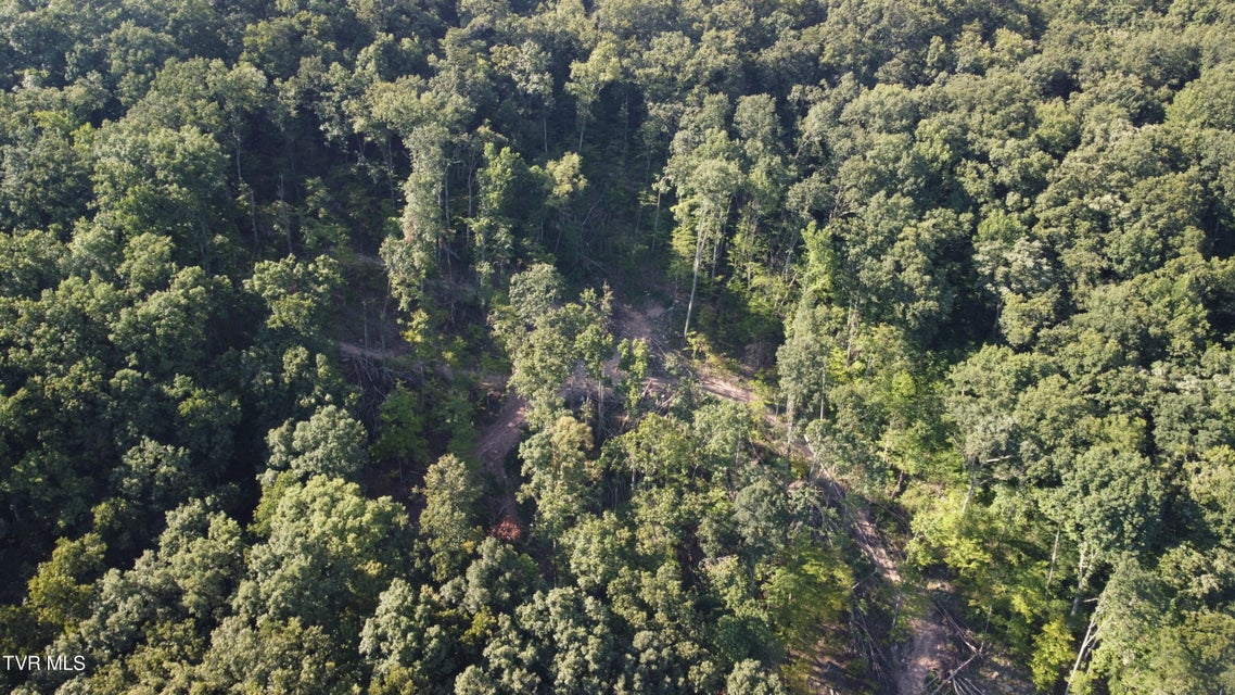 Photo #25: 471 Early Branch Road