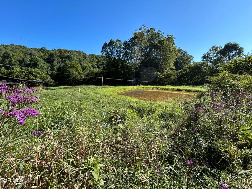 Photo #3: 5231 Bear Creek Road