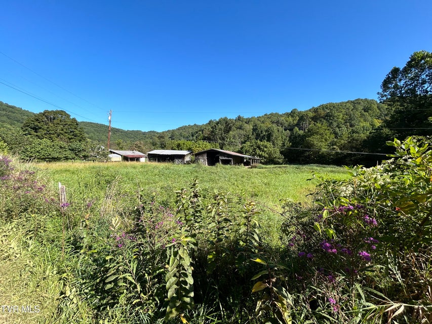 Photo #4: 5231 Bear Creek Road