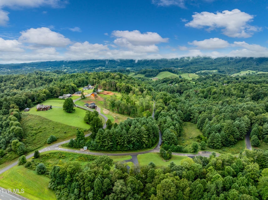 Photo #72: 1161 Laurel Way 