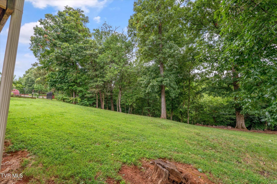Photo #37: 1414 Andera Drive