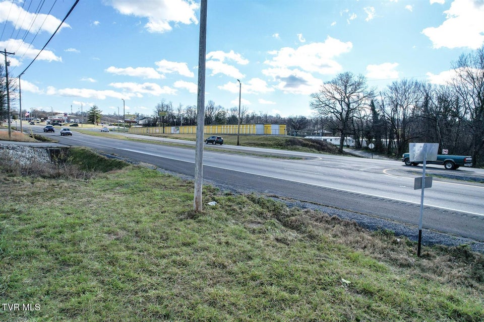 Photo #8: Lt 2 Andrew Johnson Highway