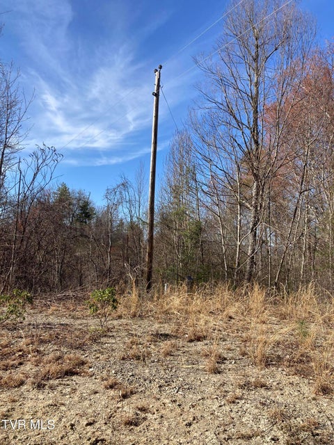 Photo #3: 1008 Locust Lane