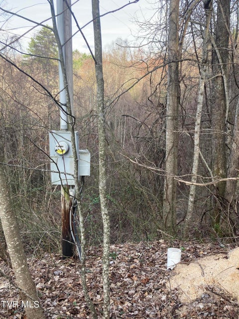 Photo #4: 1008 Locust Lane