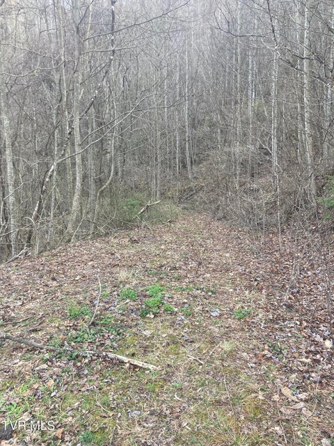 Photo #5: 1008 Locust Lane