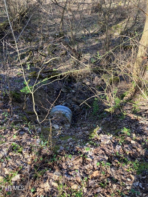 Photo #6: 1008 Locust Lane