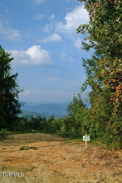 Photo #7: 1008 Locust Lane