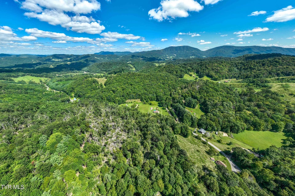 Photo #10: Tbd Bulldog Road