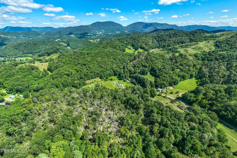 Photo #11: Tbd Bulldog Road