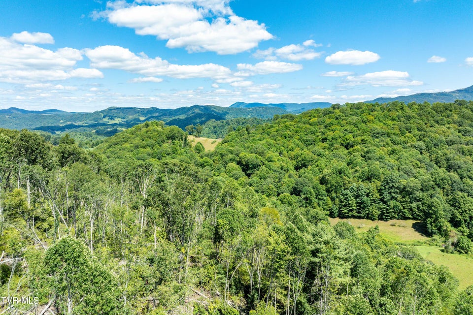 Photo #14: Tbd Bulldog Road