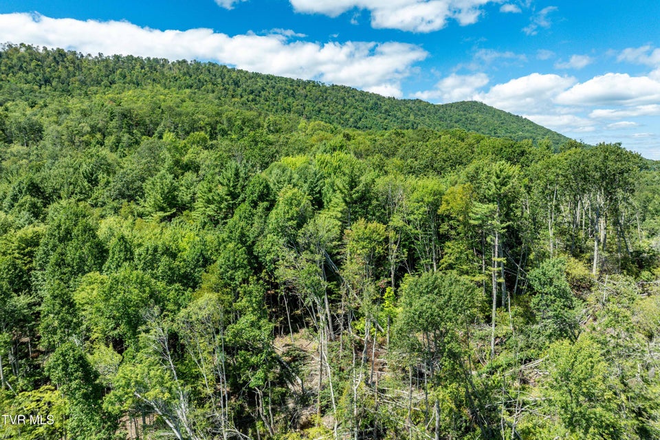 Photo #15: Tbd Bulldog Road