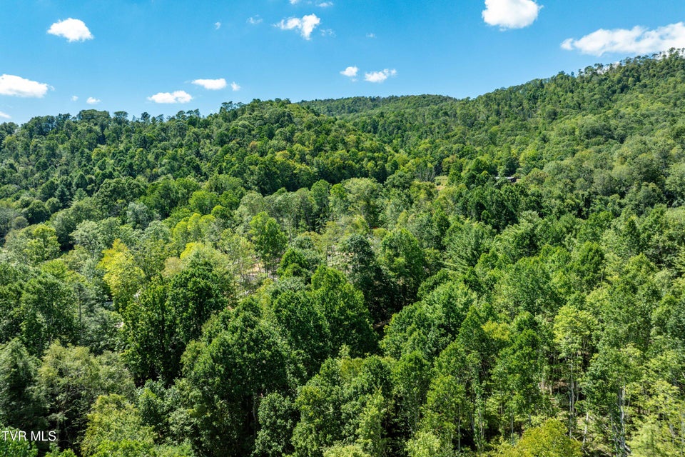 Photo #16: Tbd Bulldog Road