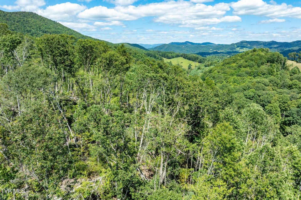 Photo #17: Tbd Bulldog Road