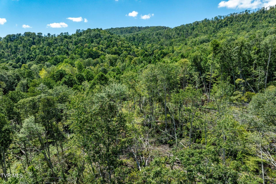 Photo #18: Tbd Bulldog Road