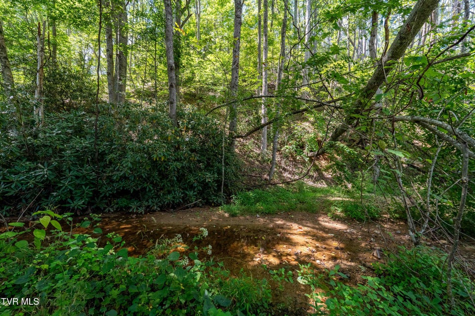 Photo #22: Tbd Bulldog Road