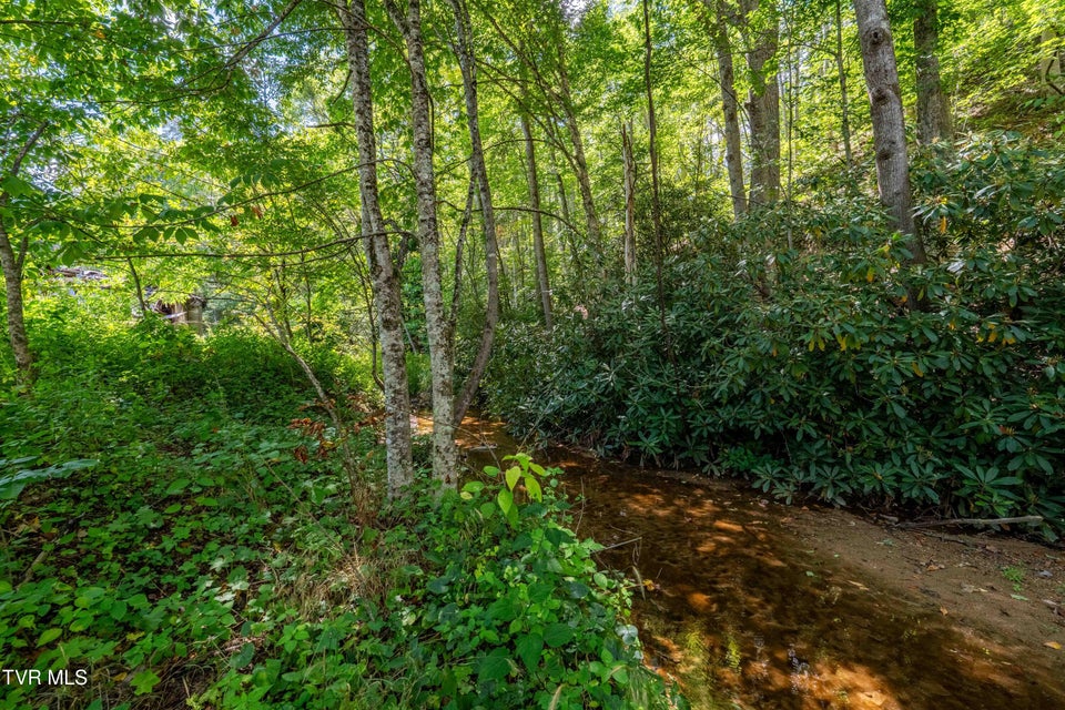 Photo #23: Tbd Bulldog Road