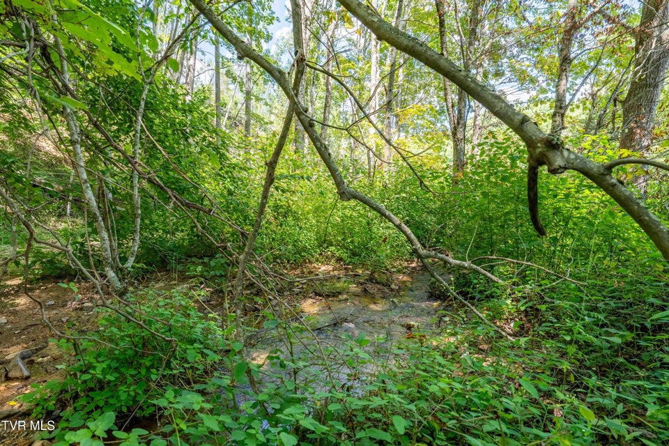 Photo #24: Tbd Bulldog Road