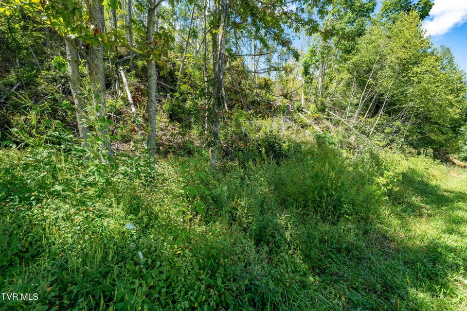 Photo #25: Tbd Bulldog Road