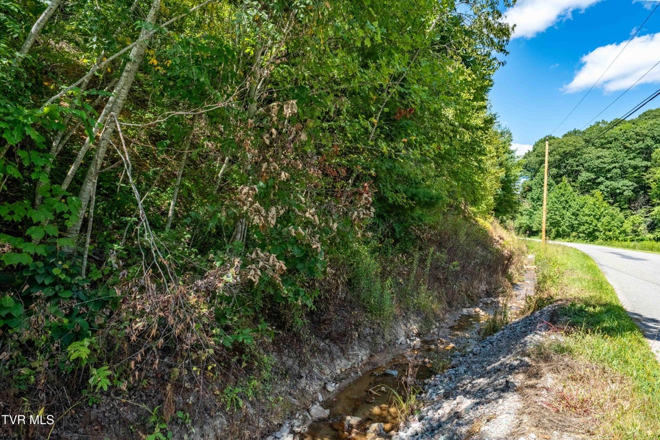 Photo #2: Tbd Bulldog Road