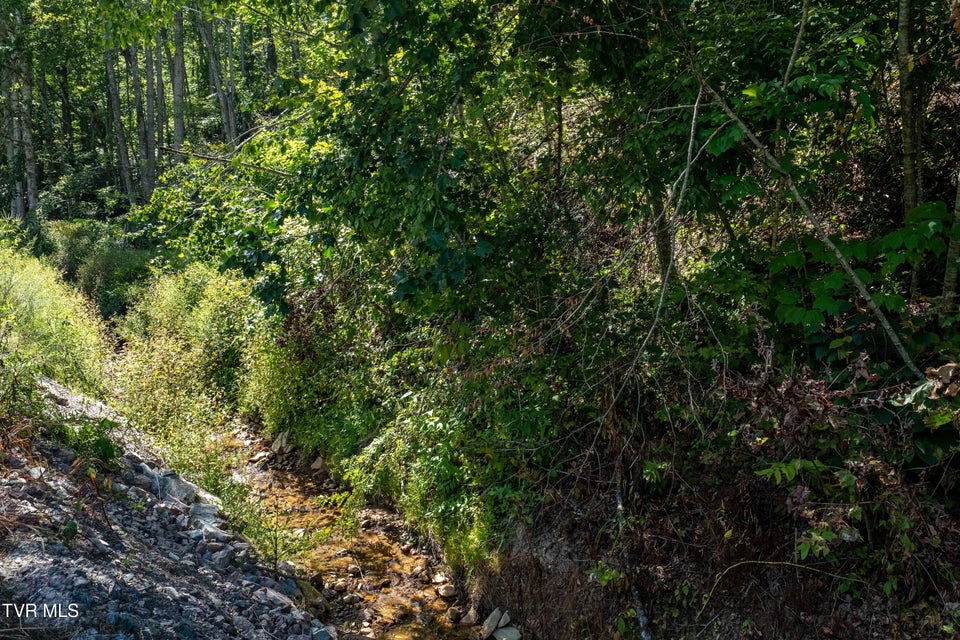 Photo #26: Tbd Bulldog Road