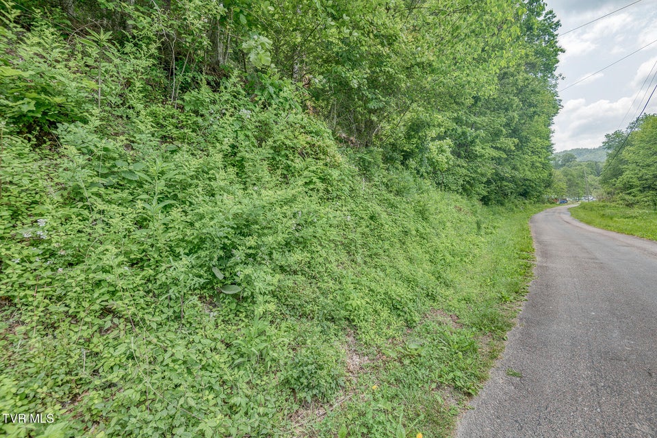 Photo #3: 00 Slimp Branch Road