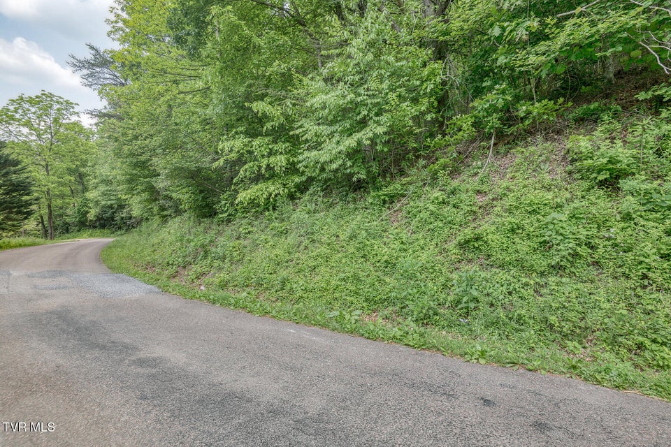 Photo #4: 00 Slimp Branch Road