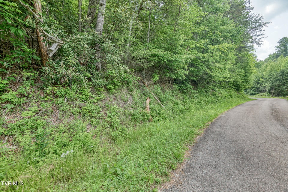 Photo #5: 00 Slimp Branch Road